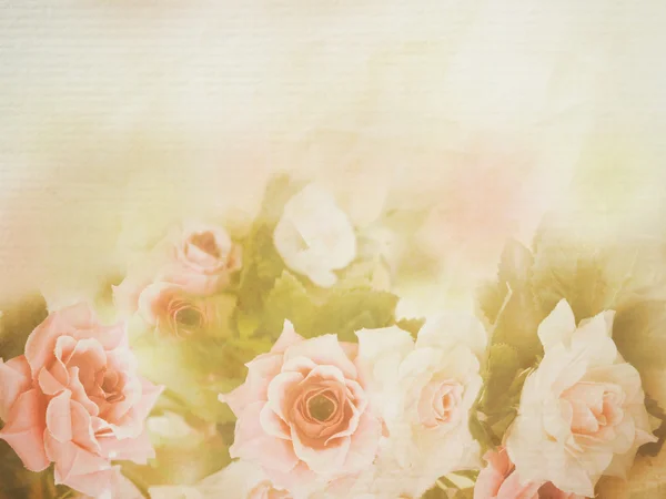 Pink rose soft style — Stock Photo, Image