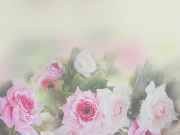 Pink rose soft style — Stock Photo, Image