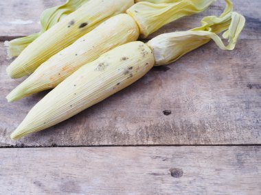 çürük haşlanmış mısır