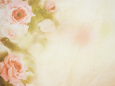 Pembe Gül yumuşak stili 