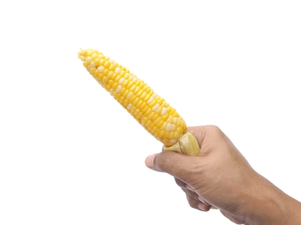 Рука держит вареную кукурузу — стоковое фото