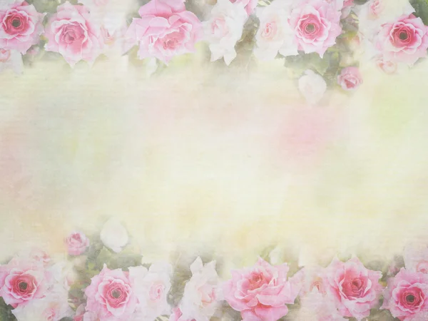 Rosa rosa estilo suave — Fotografia de Stock