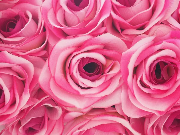 Piękna róża różowy — Zdjęcie stockowe