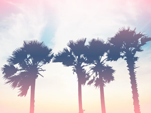 Silhouette palm trees at sunset — Stock Photo, Image