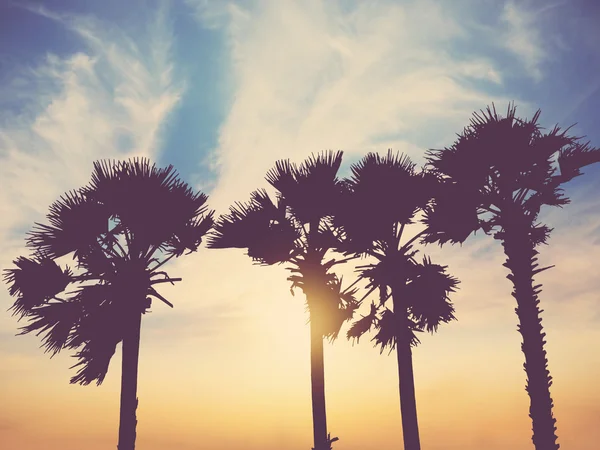 Silhouette palm trees at sunset — Stock Photo, Image