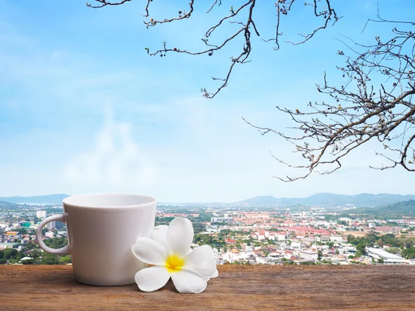 Café et fleurs plumeria blanches — Photo