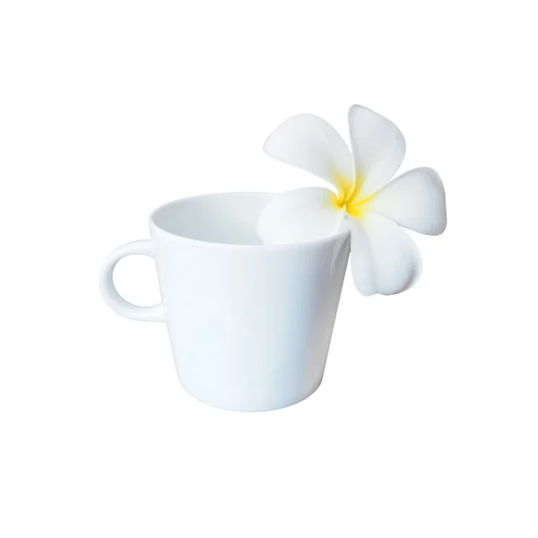 Квітка білої сливи і порожня чашка кави — стокове фото