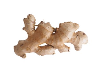 izole taze zencefil kökü 