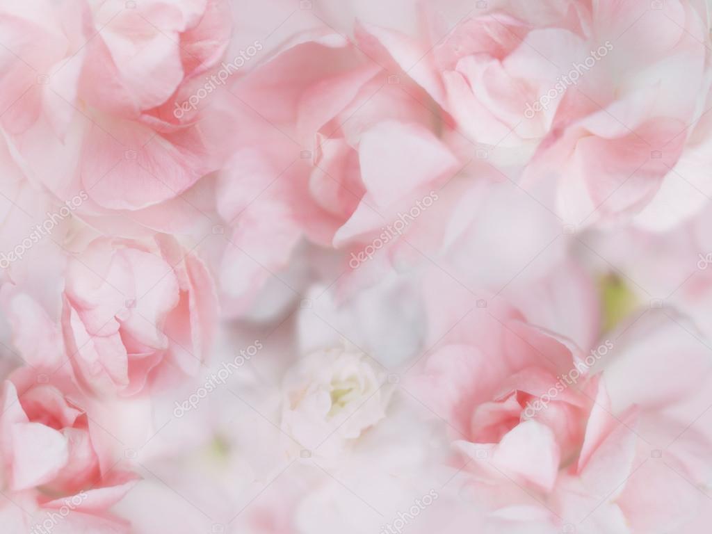 2800+ Pink Flower HD Wallpapers and Backgrounds