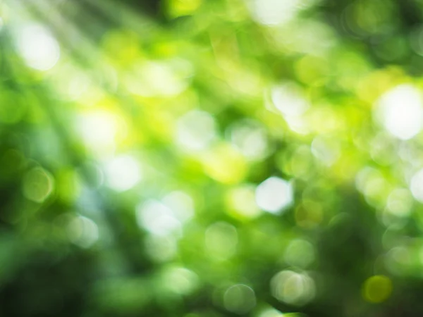 Abstrakt grön bokeh — Stockfoto