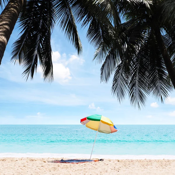 Kokosnoot palmbomen op het strand — Stockfoto