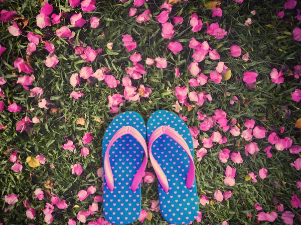 Blauwe flip flop op roze bougainville bloem en groen gras terug — Stockfoto