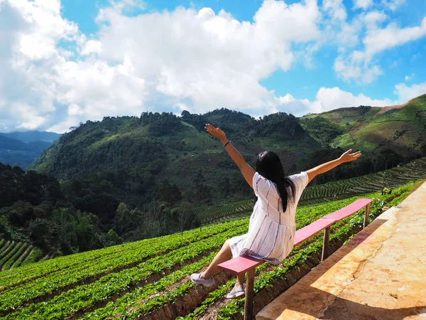 Vista Posterior Mujer Feliz Turista Levantar Los Brazos Granja Fresas — Foto de Stock