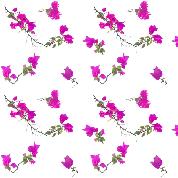 Sömlös rosa blommönster — Stockfoto