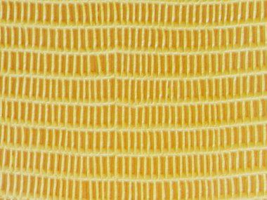 Sarı inek deri desenli