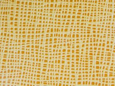 Sarı inek deri desenli 