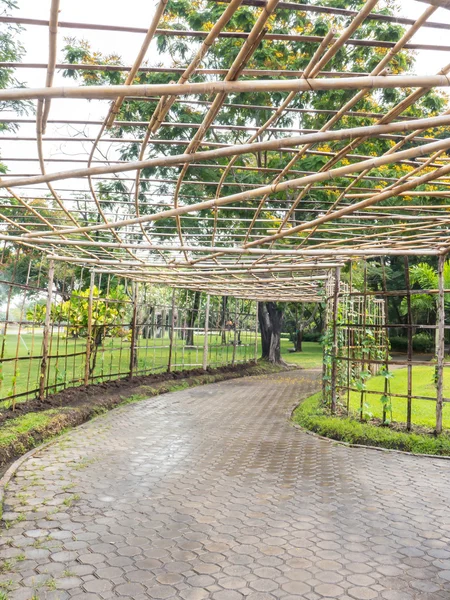 つるつる植物の竹屋根 — ストック写真