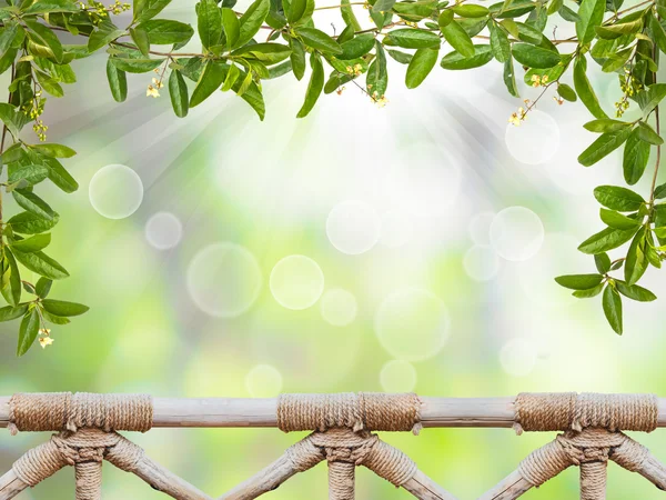 Vine leaves and handrail wood over abstract green background — Stock Photo, Image