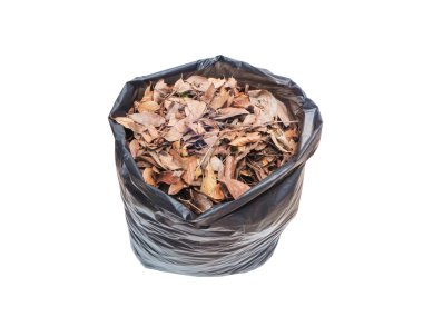 kurutulmuş yaprakları siyah plastik torba