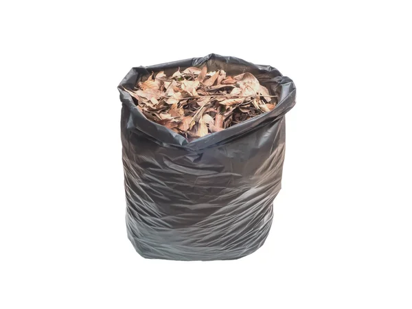 Kurutulmuş yaprakları siyah plastik torba — Stok fotoğraf