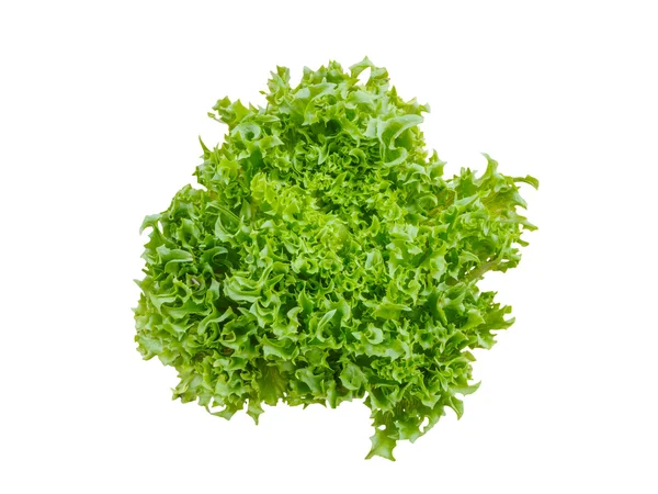 Insalata verde vegetale isolato — Foto Stock