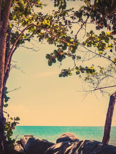 Zomer strand — Stockfoto