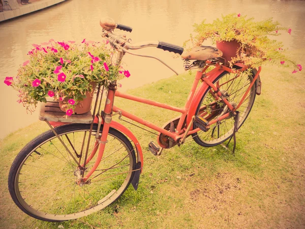 Bicicleta vermelha velha com cerâmica de flor — Fotografia de Stock