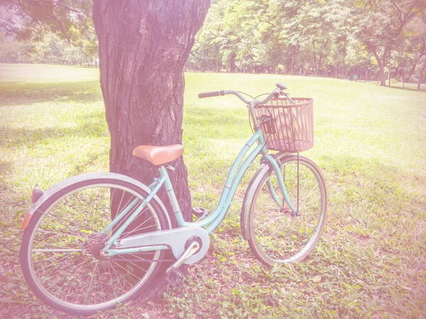 Bicicletta nel parco — Foto Stock