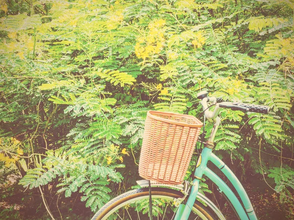 Bicycle in the park — Stock Photo, Image