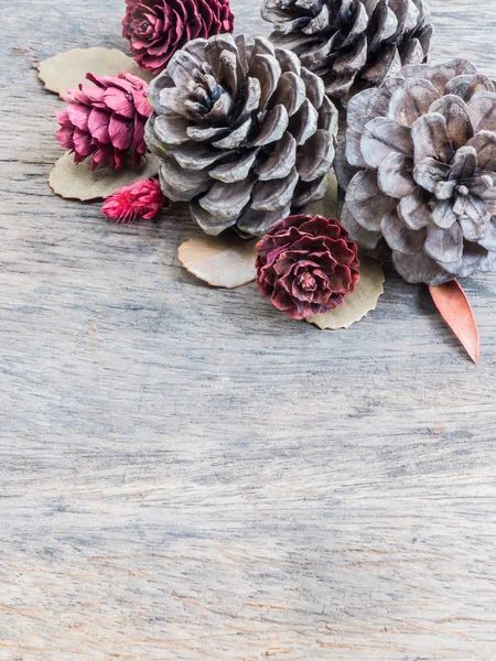 Суха сосна конуса, лист і квітка — стокове фото