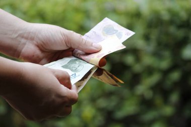 Bahçedeki Meksika banknotlarını sayan bir kadının elleri