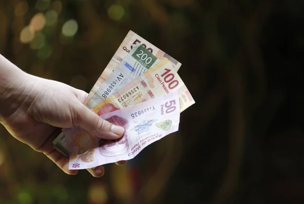 Bahçede Meksika banknotları tutan bir kadının eli