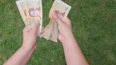 Bahçede Arjantin banknotlarını tutan ve sayan bir kadının elleri, yukarıdan bakan