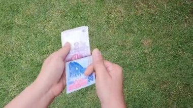 Bahçede Arjantin banknotlarını tutan ve sayan bir kadının elleri, yukarıdan bakan