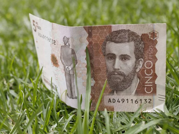 Aproximación Billete Colombiano 5000 Pesos Sobre Hierba Verde — Foto de Stock