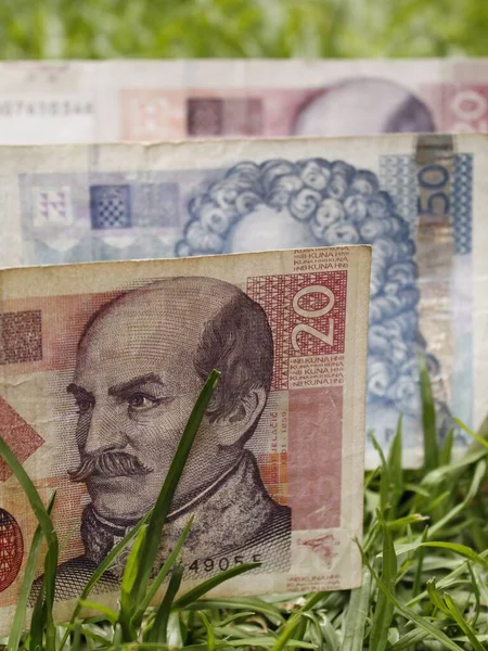 Aproximación Los Billetes Croatas Sobre Hierba Verde — Foto de Stock