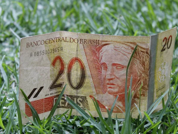 Approach Brazilian Banknote Twenty Reais Green Grass — Stock Photo, Image