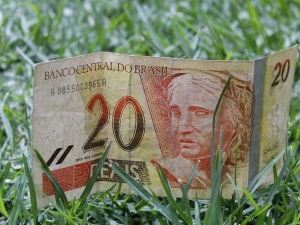 Aproximación Billete Brasileño Veinte Reales Sobre Hierba Verde — Foto de Stock