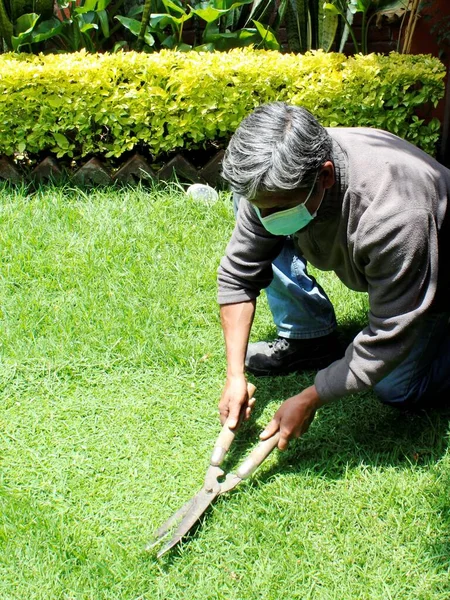 Homem Adulto Poda Grama Verde Com Tesouras Jardinagem Usando Uma — Fotografia de Stock