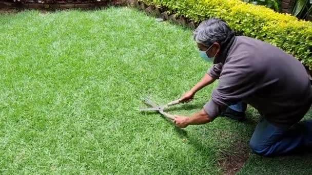Hombre Adulto Podando Hierba Verde Con Tijeras Jardinería Usando Una — Vídeos de Stock