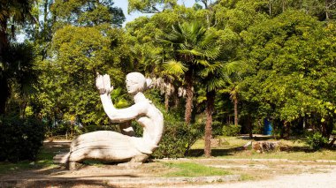 Abhazya 'nın Gagra kentinin manzarası. Seyahat kavramı. Yeşil ağaçlardaki şehir.