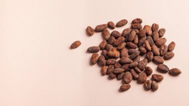 Kakao çekirdeği. Kakao ürünü. Yüksek kalite fotoğraf