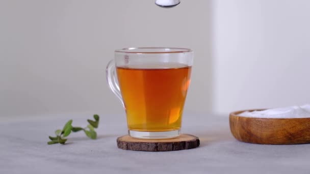 Video how to add a natural sweetener to a cup of tea. Erythritol — Stock Video