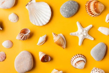 Sarı arka planda çeşitli deniz kabukları. Yaz arkaplanı.