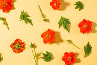 Sarı arka planda koyu gölgeli kırmızı bir çiçek deseni. Çiçek arkaplan, yaz geçmişi.