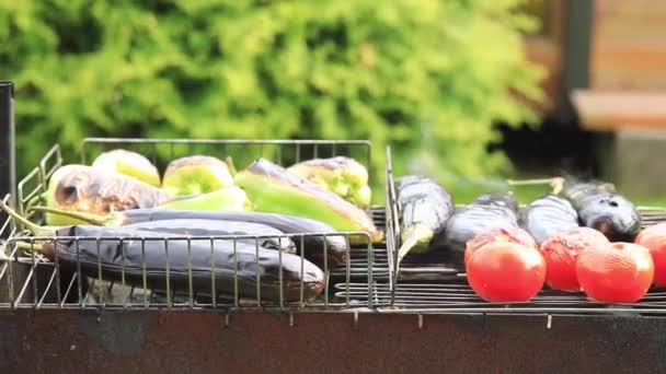 El proceso de cocción de verduras tomate, berenjena, pimienta en la parrilla. — Vídeo de stock