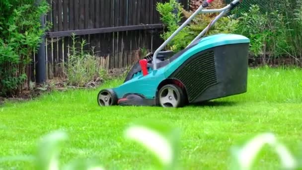 Çim biçme makinesi yeşil çimleri biçer.. — Stok video