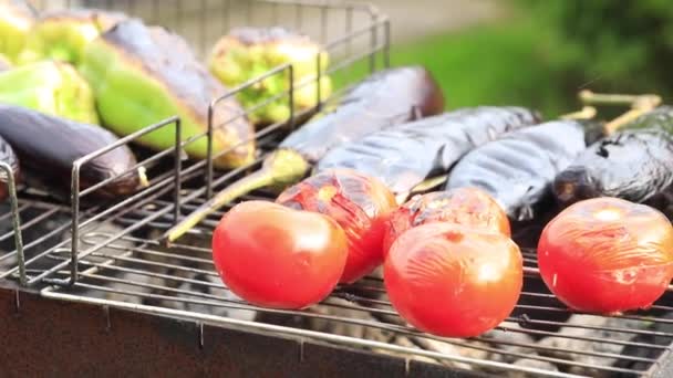 El proceso de cocción de verduras tomate, berenjena, pimienta en la parrilla. — Vídeo de stock