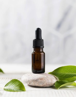 Yüzün ve vücudun derisi için serum yaprakların arasındaki bir taşın üzerindeki koyu bir damlacıkta. Doğal kozmetik konsepti