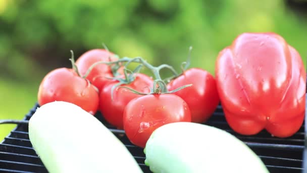 El proceso de cocción verduras tomate, calabacín, pimienta en la parrilla. — Vídeo de stock